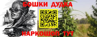 шишки Шебекино